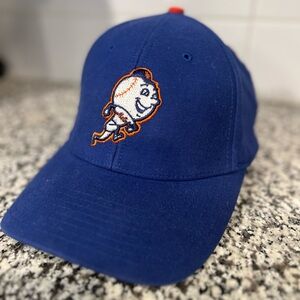 Vintage Twins Enterprise New York Mets Fitted Hat Cap Mascot Logo MLB Blue